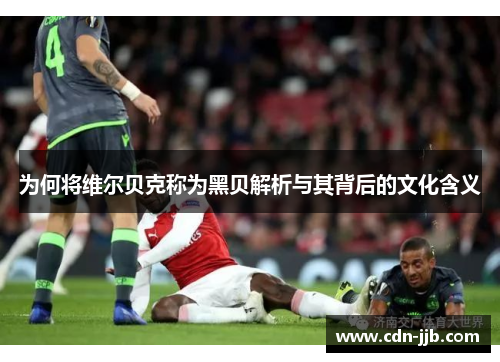 为何将维尔贝克称为黑贝解析与其背后的文化含义