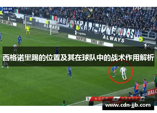 西格诺里踢的位置及其在球队中的战术作用解析